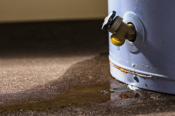 Best 24/7 water damage repair  in Hazen, AR