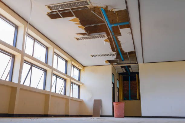 Best Water damage cleanup near me  in Hazen, AR
