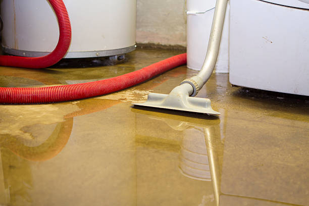 Best Flood restoration services  in Hazen, AR